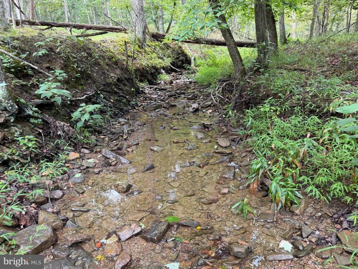 190 BLUFFS ON THE POTOMAC, ROMNEY - Photo 10 of 25