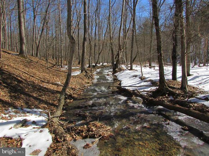 190 BLUFFS ON THE POTOMAC, ROMNEY - Photo 14 of 25
