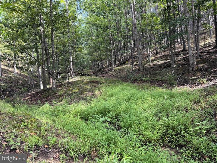 190 BLUFFS ON THE POTOMAC, ROMNEY - Photo 23 of 25