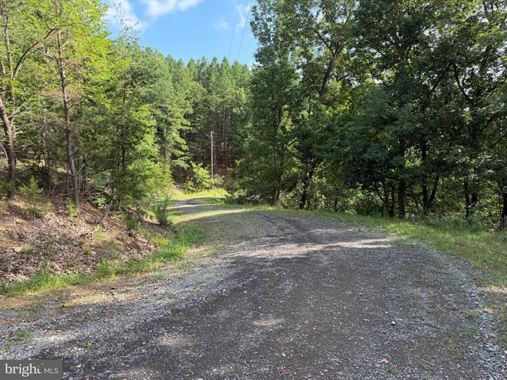 190 BLUFFS ON THE POTOMAC, ROMNEY - Photo 18 of 25