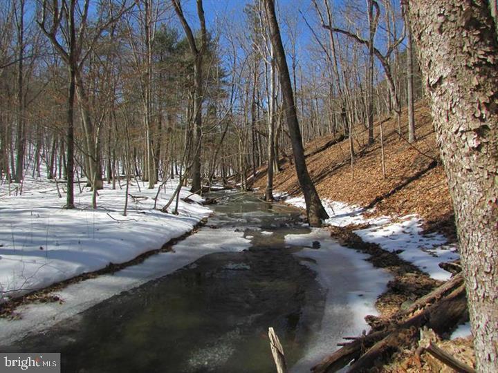 190 BLUFFS ON THE POTOMAC, ROMNEY - Photo 16 of 25