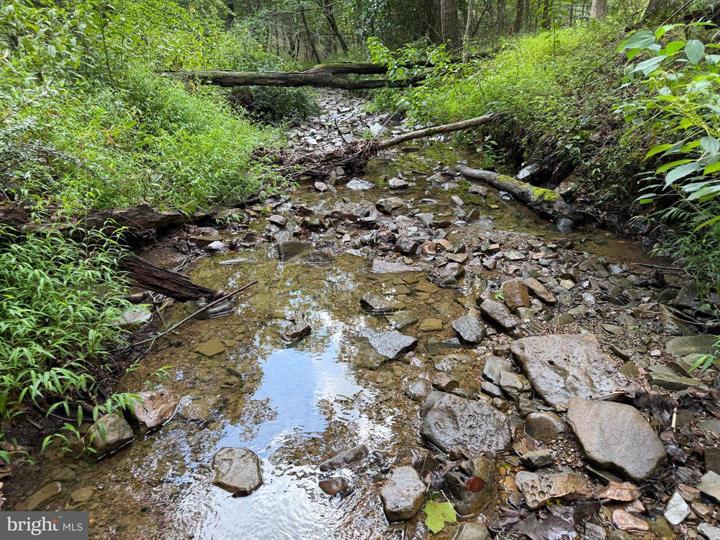 190 BLUFFS ON THE POTOMAC, ROMNEY - Photo 9 of 25