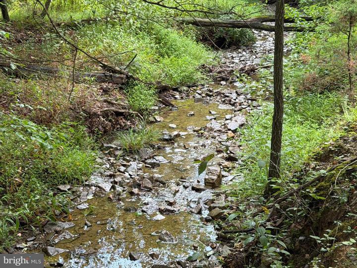 190 BLUFFS ON THE POTOMAC, ROMNEY - Photo 24 of 25