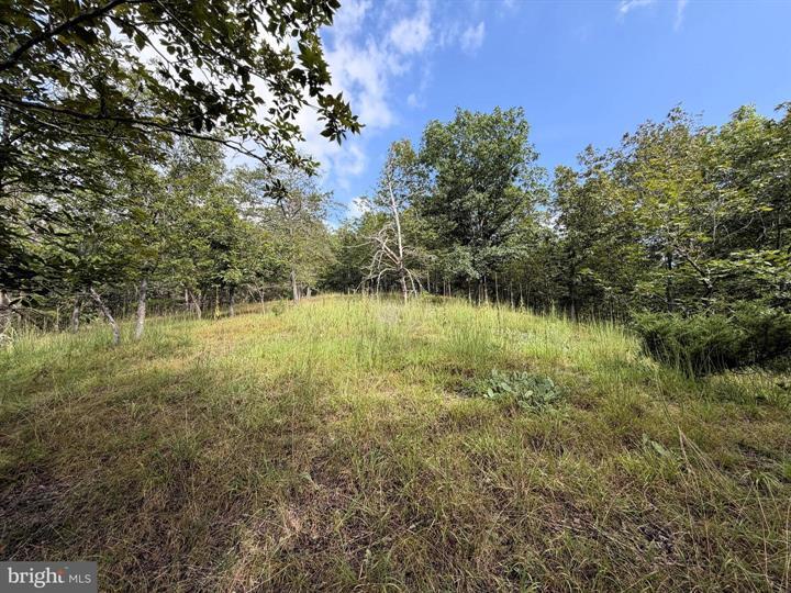 190 BLUFFS ON THE POTOMAC, ROMNEY - Photo 22 of 25
