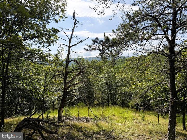 190 BLUFFS ON THE POTOMAC, ROMNEY - Photo 21 of 25
