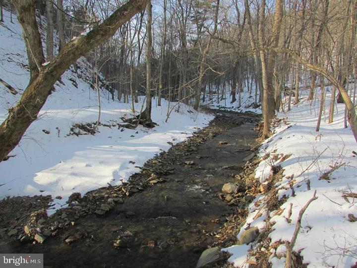 190 BLUFFS ON THE POTOMAC, ROMNEY - Photo 15 of 25