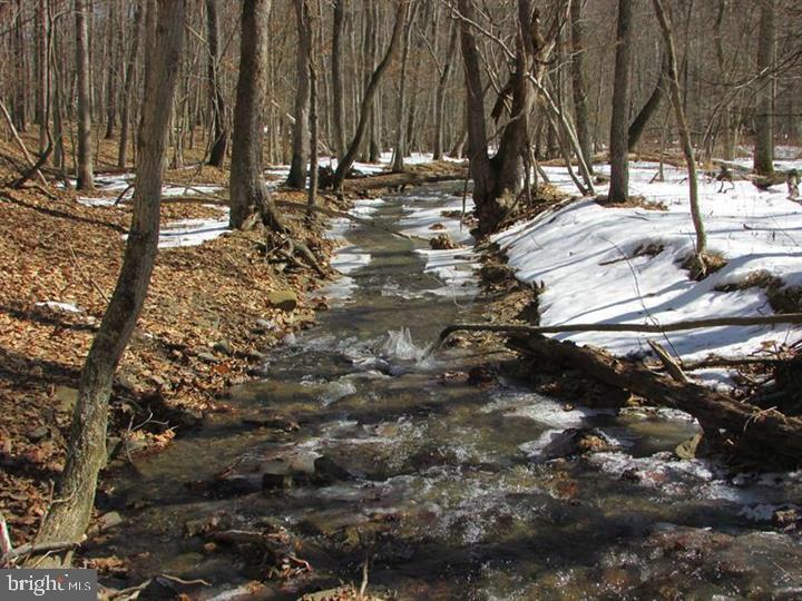 190 BLUFFS ON THE POTOMAC, ROMNEY - Photo 13 of 25