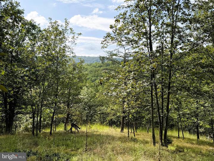 190 BLUFFS ON THE POTOMAC, ROMNEY - Photo 4 of 25