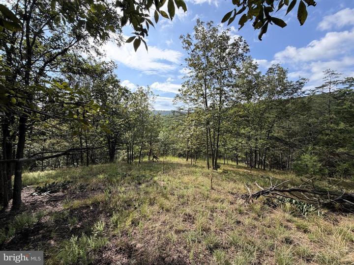 190 BLUFFS ON THE POTOMAC, ROMNEY - Photo 3 of 25