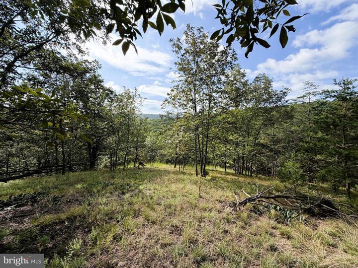 190 BLUFFS ON THE POTOMAC, ROMNEY - Photo 20 of 25