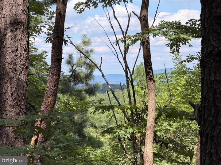 3 BLUFFS ON THE POTOMAC, SPRINGFIELD - Photo 4 of 25
