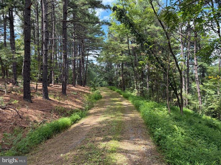 3 BLUFFS ON THE POTOMAC, SPRINGFIELD - Photo 16 of 25