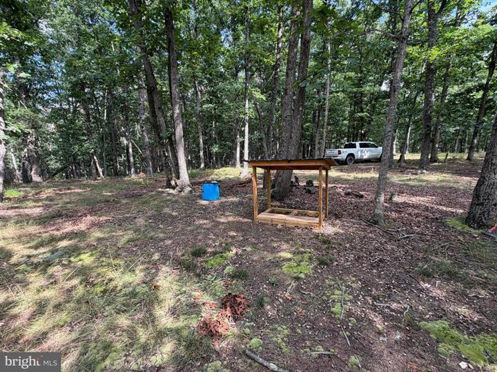 20 UNRESTRICTED ACRES, ROMNEY - Photo 18 of 25