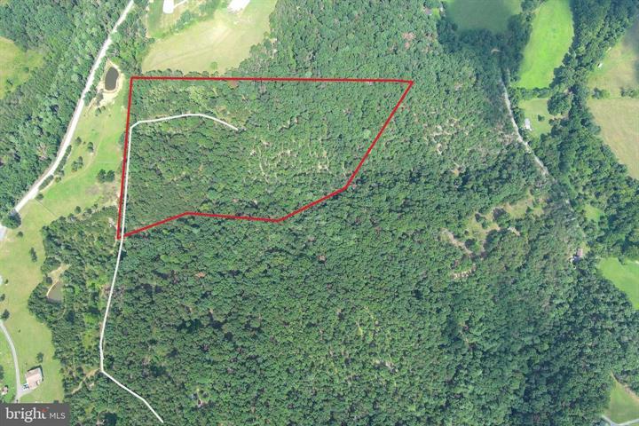 20 UNRESTRICTED ACRES, ROMNEY - Photo 10 of 25
