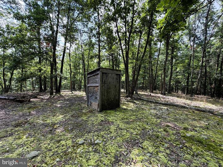 20 UNRESTRICTED ACRES, ROMNEY - Photo 17 of 25