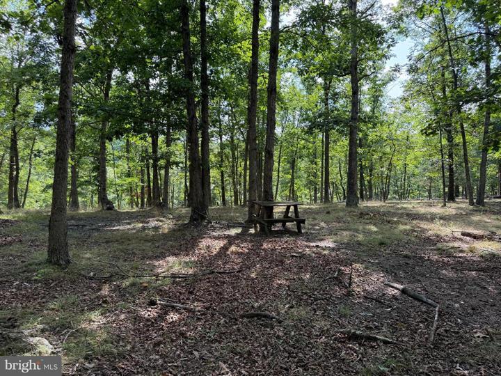 20 UNRESTRICTED ACRES, ROMNEY - Photo 20 of 25