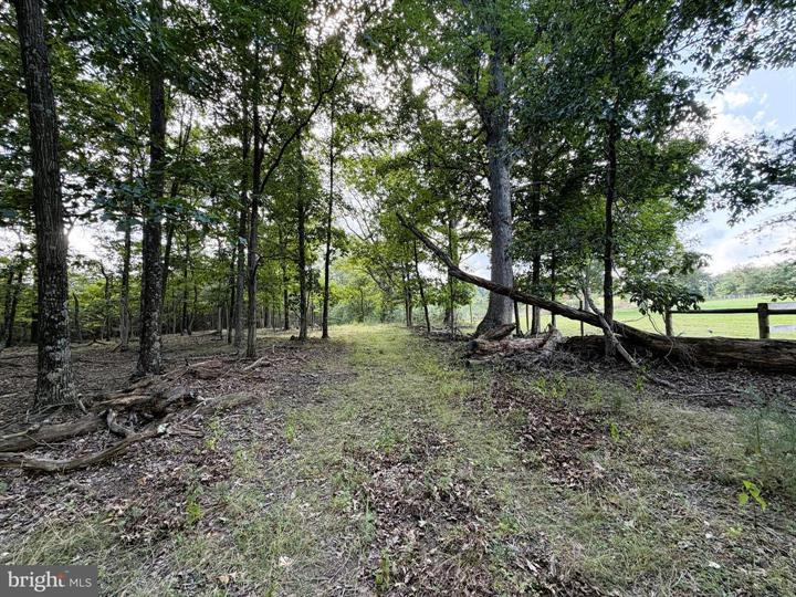 20 UNRESTRICTED ACRES, ROMNEY - Photo 25 of 25