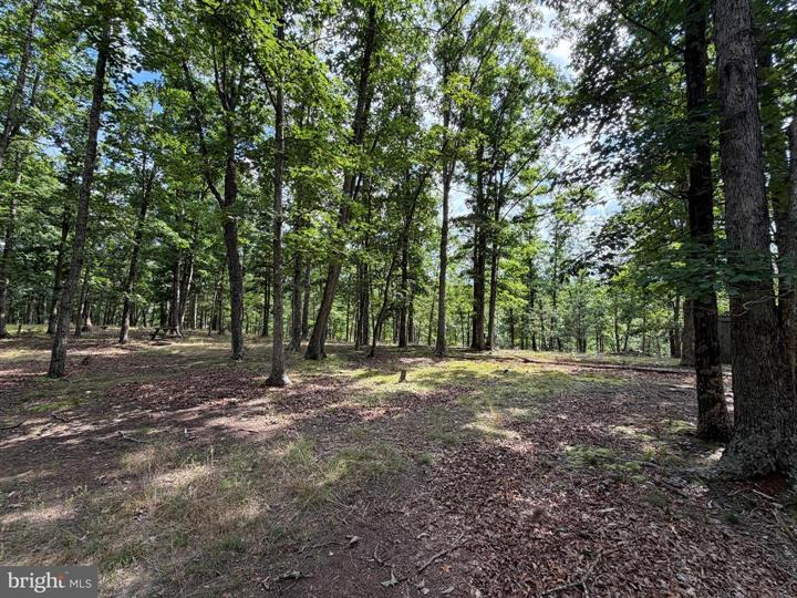 20 UNRESTRICTED ACRES, ROMNEY - Photo 16 of 25