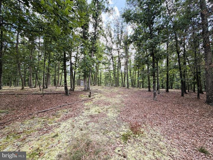 20 UNRESTRICTED ACRES, ROMNEY - Photo 13 of 25