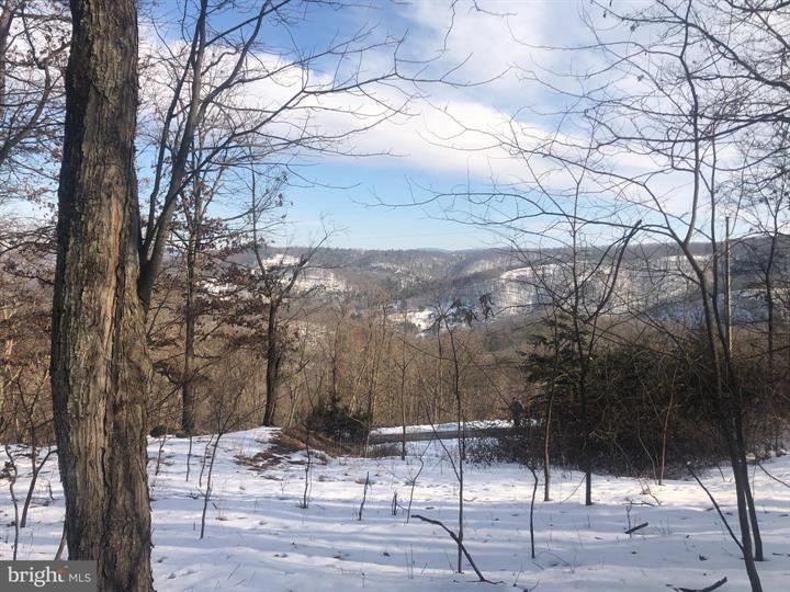 21 LOST RIVER BLUFFS, MATHIAS - Photo 5 of 25