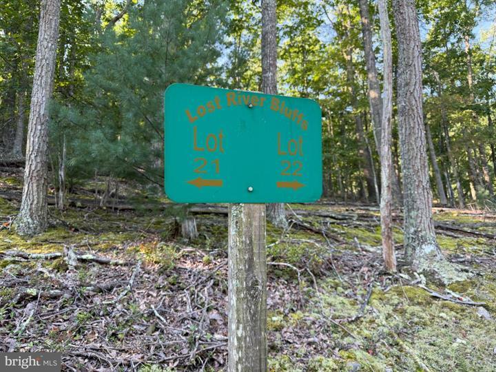 21 LOST RIVER BLUFFS, MATHIAS - Photo 12 of 25