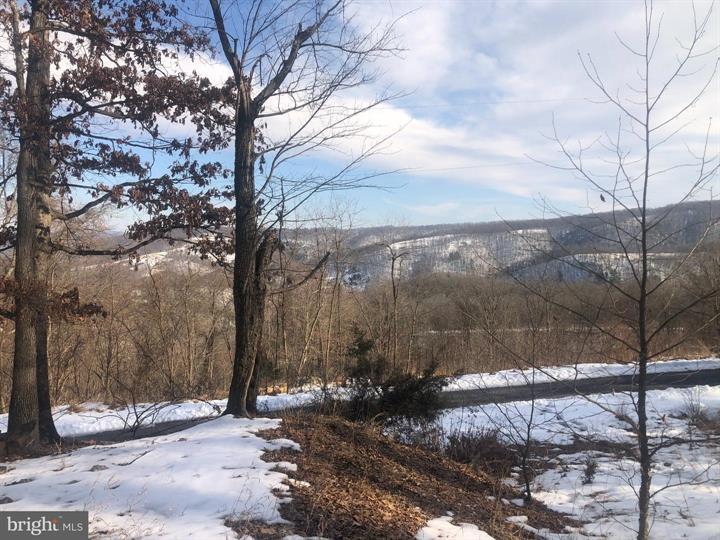 21 LOST RIVER BLUFFS, MATHIAS - Photo 4 of 25