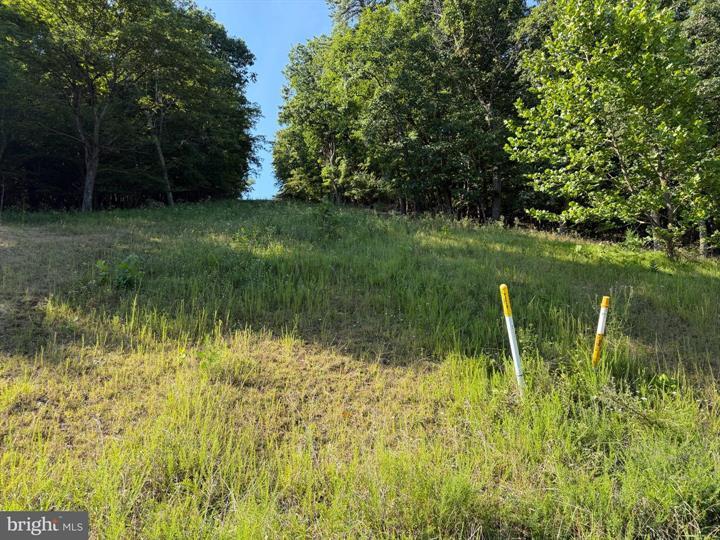 21 LOST RIVER BLUFFS, MATHIAS - Photo 15 of 25