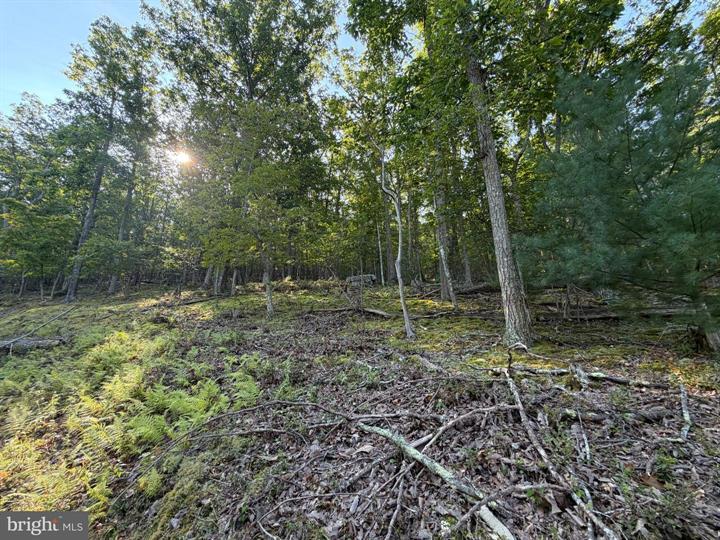 21 LOST RIVER BLUFFS, MATHIAS - Photo 13 of 25