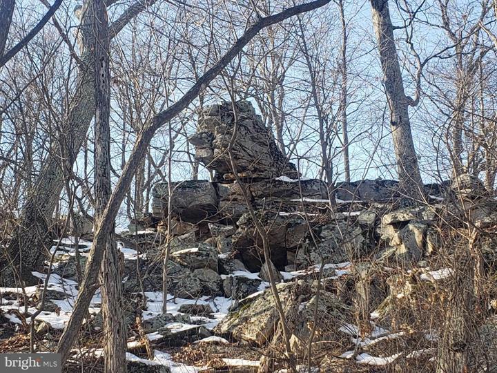 21 LOST RIVER BLUFFS, MATHIAS - Photo 3 of 25
