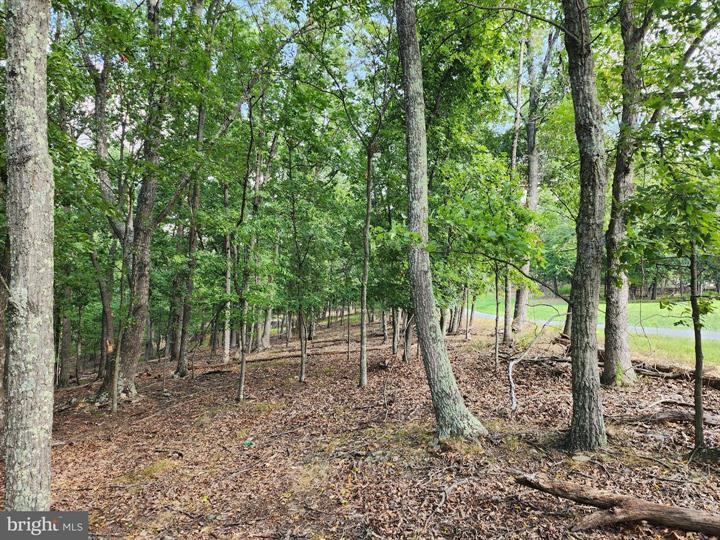 TIMBER RIDGE ROAD, BERKELEY SPRINGS - Photo 1 of 13