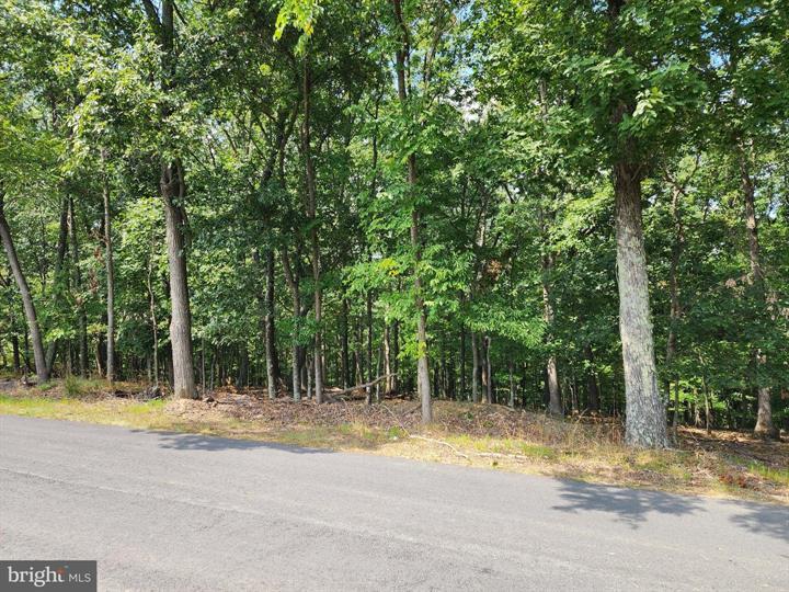 TIMBER RIDGE ROAD, BERKELEY SPRINGS - Photo 4 of 13