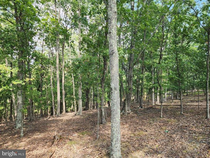 TIMBER RIDGE ROAD, BERKELEY SPRINGS - Photo 10 of 13