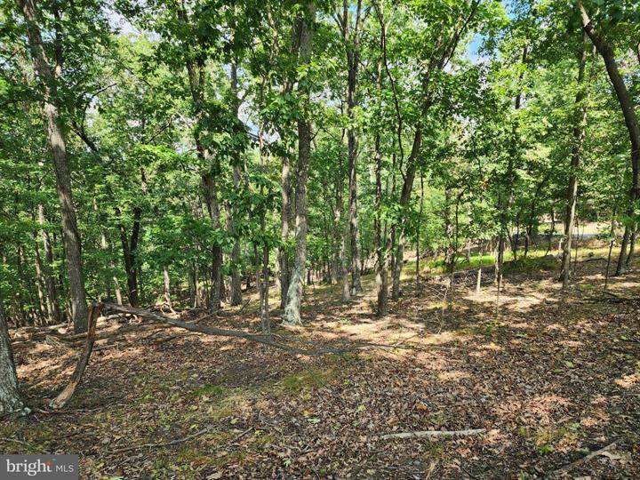 TIMBER RIDGE ROAD, BERKELEY SPRINGS - Photo 7 of 13