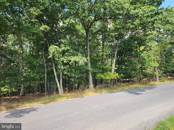 TIMBER RIDGE ROAD, BERKELEY SPRINGS - Photo 6 of 13