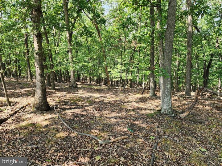 TIMBER RIDGE ROAD, BERKELEY SPRINGS - Photo 8 of 13