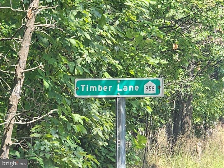 TIMBER RIDGE ROAD, BERKELEY SPRINGS - Photo 13 of 13