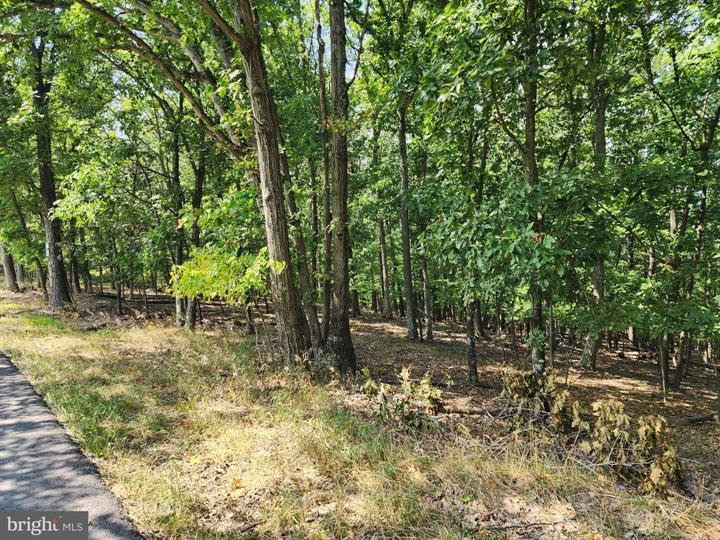 TIMBER RIDGE ROAD, BERKELEY SPRINGS - Photo 11 of 13