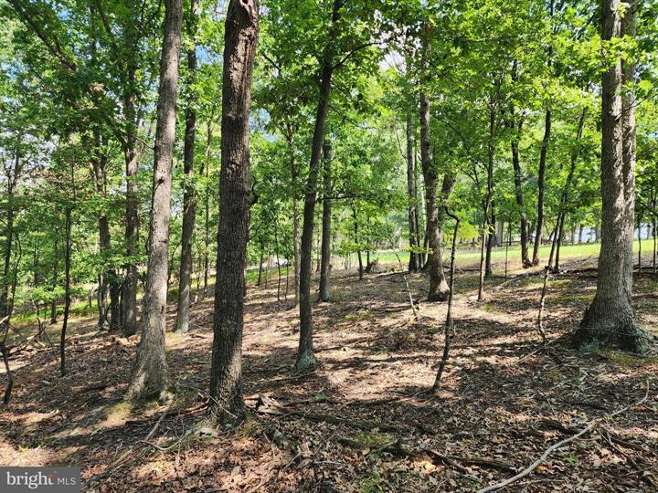 TIMBER RIDGE ROAD, BERKELEY SPRINGS - Photo 9 of 13