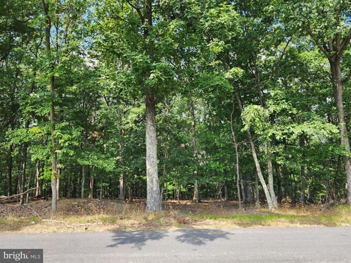 TIMBER RIDGE ROAD, BERKELEY SPRINGS - Photo 5 of 13