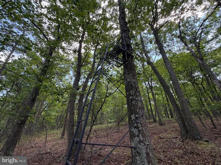 218 BLUFFS ON THE POTOMAC, ROMNEY - Photo 10 of 25