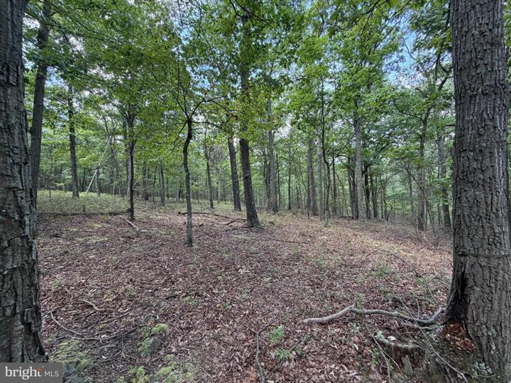 218 BLUFFS ON THE POTOMAC, ROMNEY - Photo 13 of 25