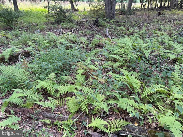 218 BLUFFS ON THE POTOMAC, ROMNEY - Photo 15 of 25