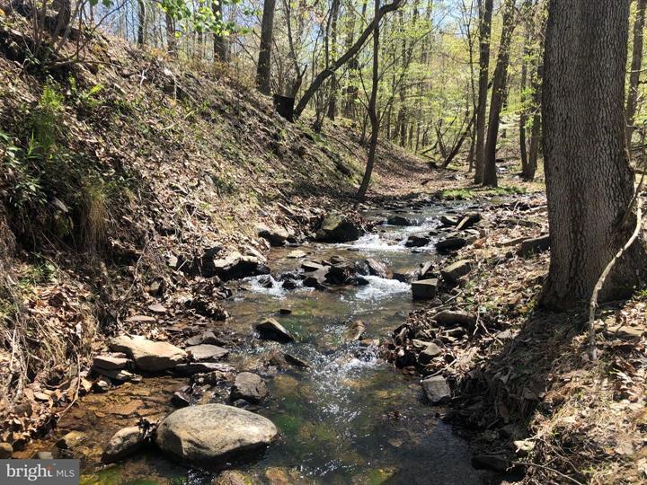 218 BLUFFS ON THE POTOMAC, ROMNEY - Photo 3 of 25