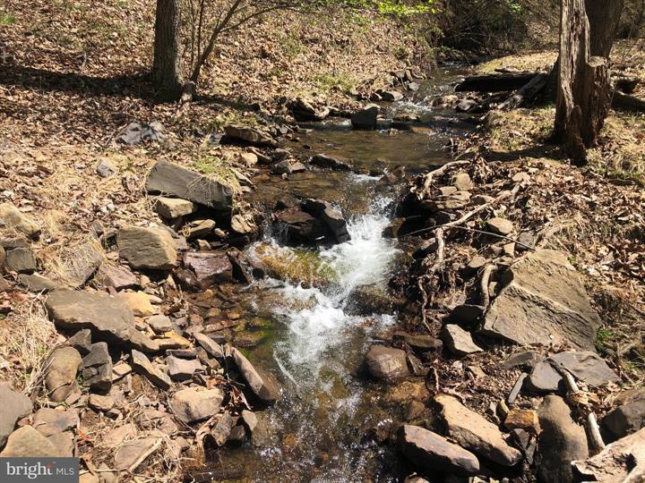 218 BLUFFS ON THE POTOMAC, ROMNEY - Photo 6 of 25