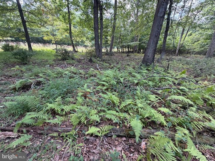 218 BLUFFS ON THE POTOMAC, ROMNEY - Photo 16 of 25