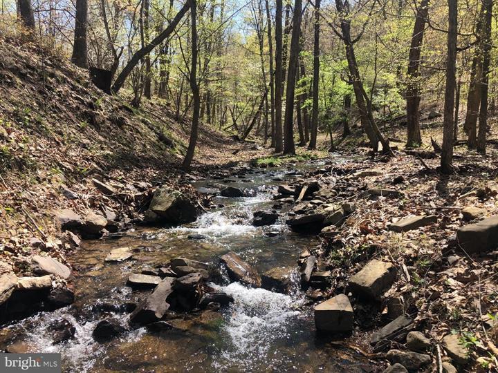 218 BLUFFS ON THE POTOMAC, ROMNEY - Photo 5 of 25
