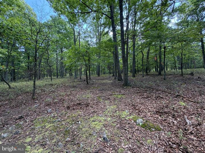 218 BLUFFS ON THE POTOMAC, ROMNEY - Photo 12 of 25