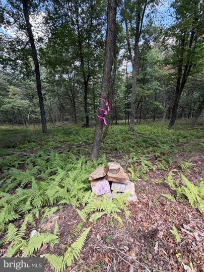 218 BLUFFS ON THE POTOMAC, ROMNEY - Photo 17 of 25