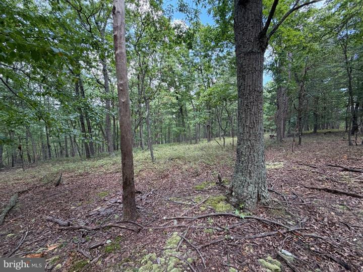 218 BLUFFS ON THE POTOMAC, ROMNEY - Photo 14 of 25