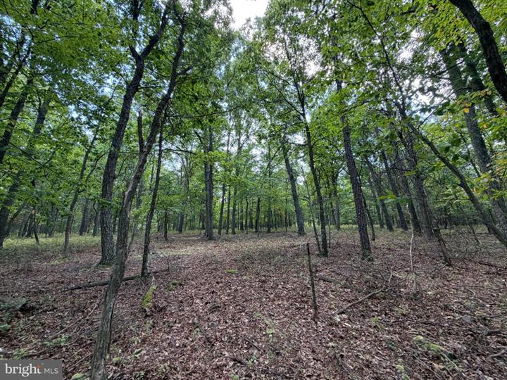 218 BLUFFS ON THE POTOMAC, ROMNEY - Photo 11 of 25